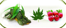 Load image into Gallery viewer, Salix Extract with Hawthorn and Goosefoot, 30 capsules