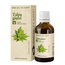 Load image into Gallery viewer, Promotional Package Tincture