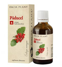 Load image into Gallery viewer, Promotional Package Tincture