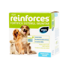 Load image into Gallery viewer, Viyo Reinforces for dogs all ages 7 x 30 ml ( 1 box)