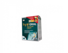 Load image into Gallery viewer, Hyaloral Large Breed 12 tablets (1 blister)