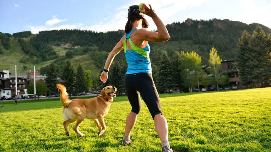 The Importance of Exercise for Pets: How to Keep Your Animal Active and Healthy