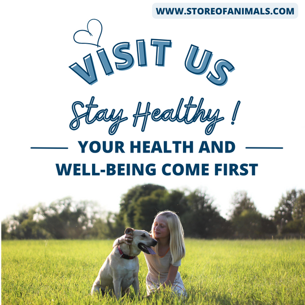 Stay Healthy with Us!