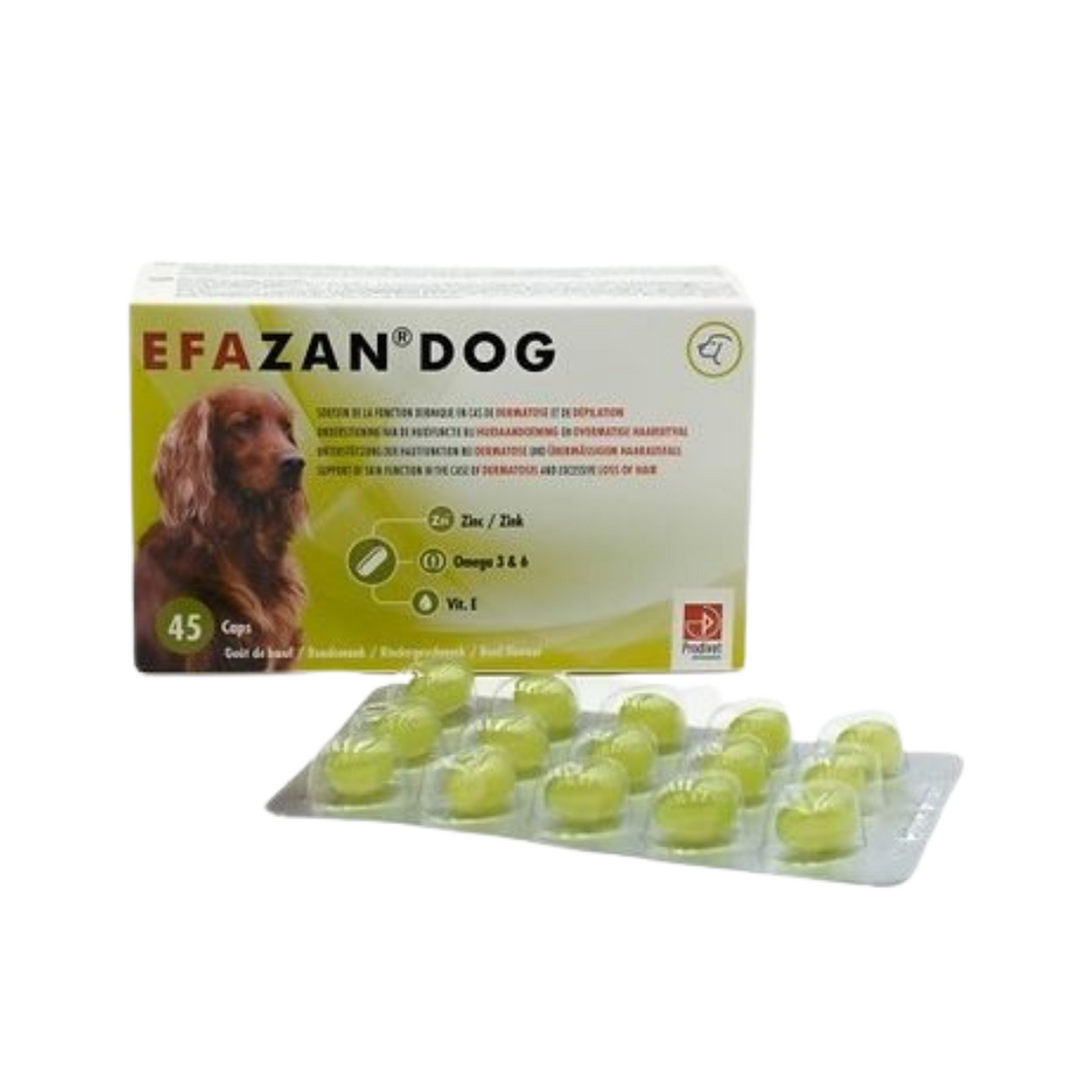 Complementary feed to support skin function in dogs Efazan Dog, 45 capsules