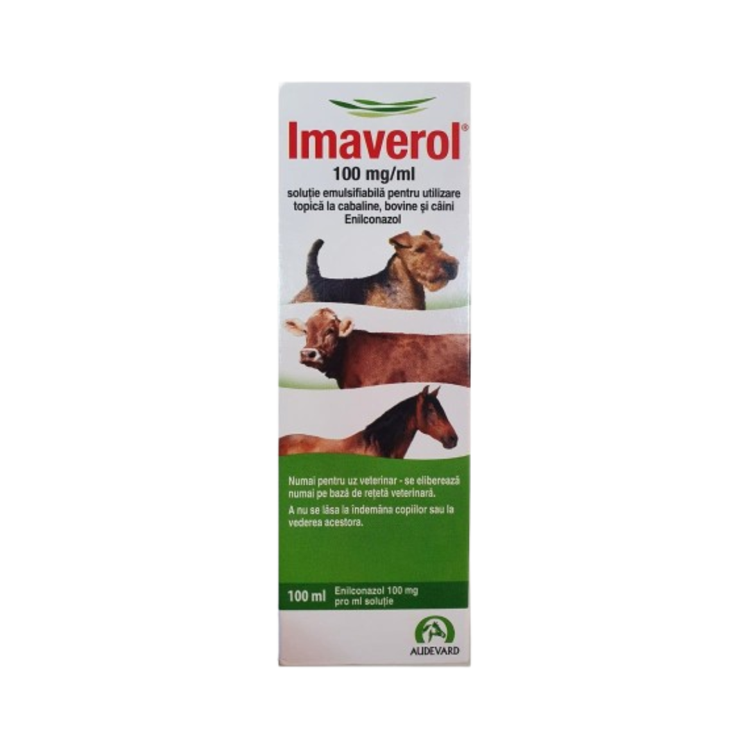 Imaverol for shop dogs