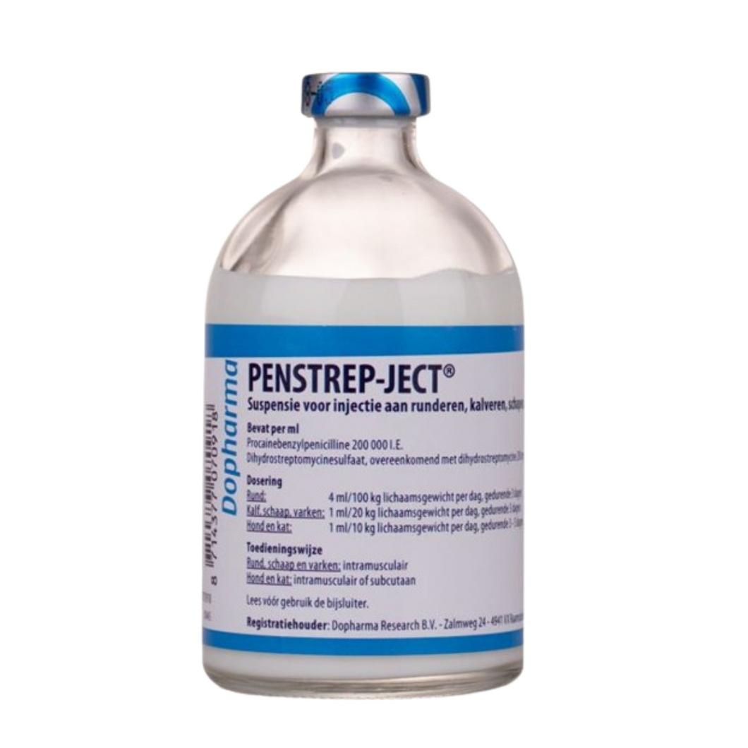 Penstrep-Ject 100 Ml (PENSTREP PRO)