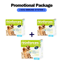 Load image into Gallery viewer, Promotional Package DOG IMMUNE SYSTEM
