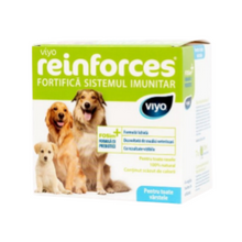 Load image into Gallery viewer, Viyo Reinforces for dogs all ages 7 x 30 ml ( 1 box)
