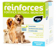 Load image into Gallery viewer, Promotional Package DOG IMMUNE SYSTEM
