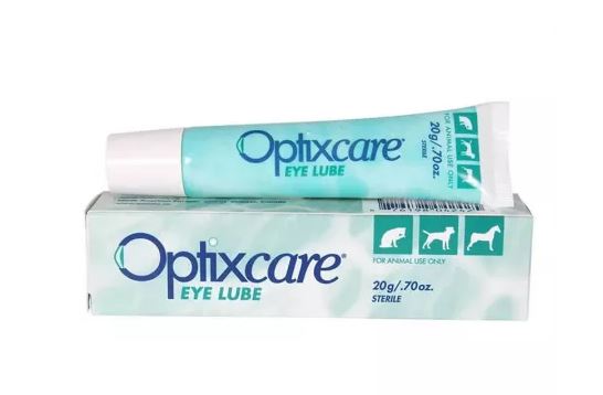 Eye Lube ophthalmic gel, 20 g