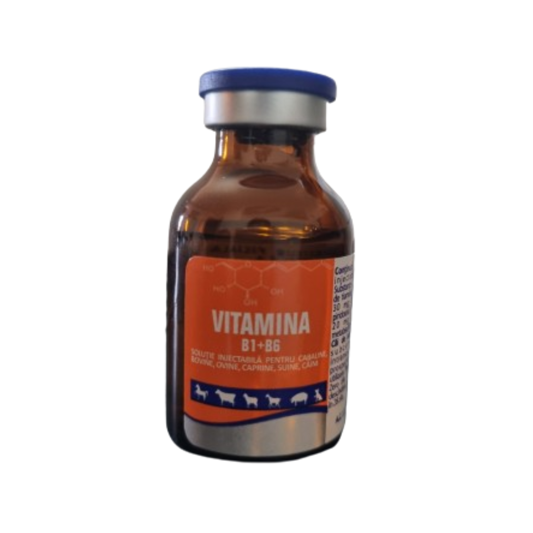 VITAMIN B1 + B6