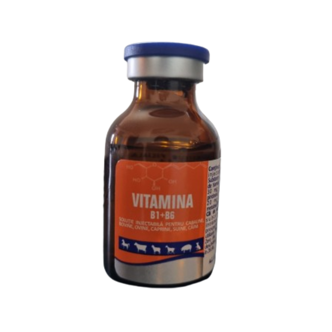 VITAMIN B1 + B6 - Nutrition for many animals