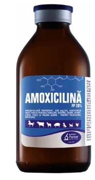 AMOXICILLIN FP 20% INJ - Treament of respiratory, gastrointenstinal, urogenital tract, etc.