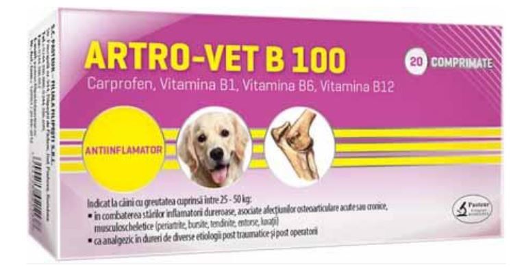 ARTRO–VET B 100 - Anti-inflammatory for Dogs