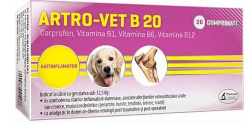 ARTRO–VET B 20 - Anti-inflammatory for Dogs