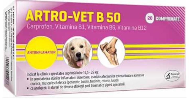 ARTRO–VET B 50 - Anti-inflammatory for Dogs