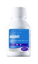 AVICOVIT - Treatment of E. coli in chickens and turkeys