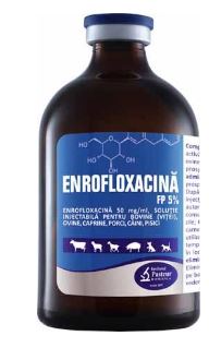 ENROFLOXACIN FP 5% - Treatment of germs sensitive to enrofloxacin