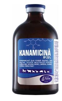 KANAMYCIN FP 25% - Recommended for Digestive, Respiratory, Skin Infections