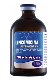 LINCOMYCIN SPECTINOMYCIN 5/10 - Treatment of diseases caused by germs sensitive to lincomycin and spectinomycin