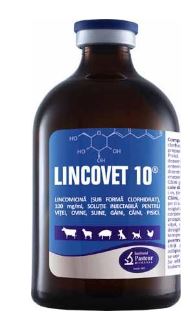 LINCOVET 10 - Treatment for germs sensitive to the lincomycin