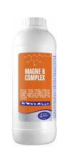 MAGNE B COMPLEX - Recommended for growth disords