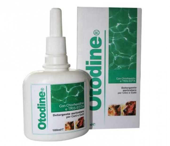 Otodines 100 ml