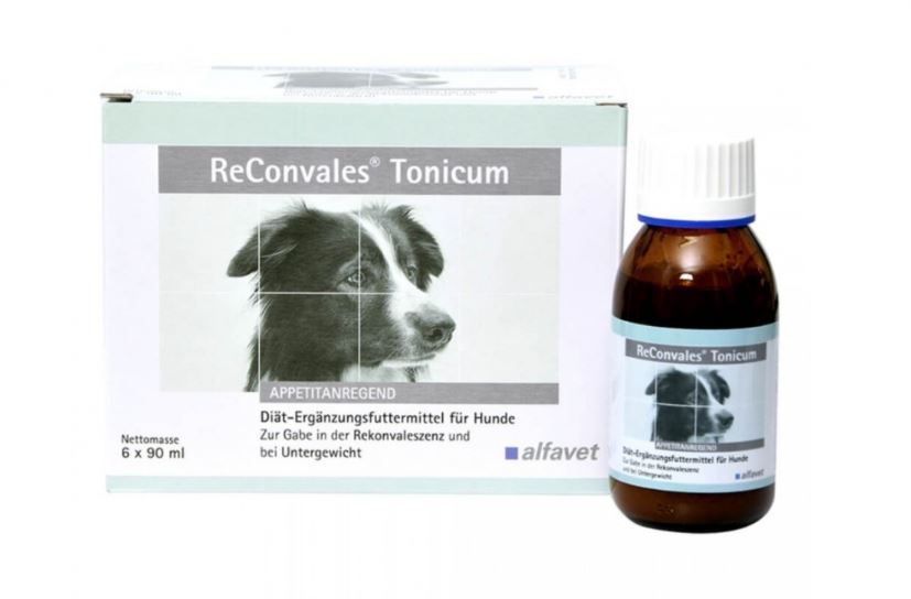 RECONVALES DOG TONICUM 90ml