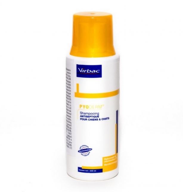 Pyoderm shampoo, 200 ml